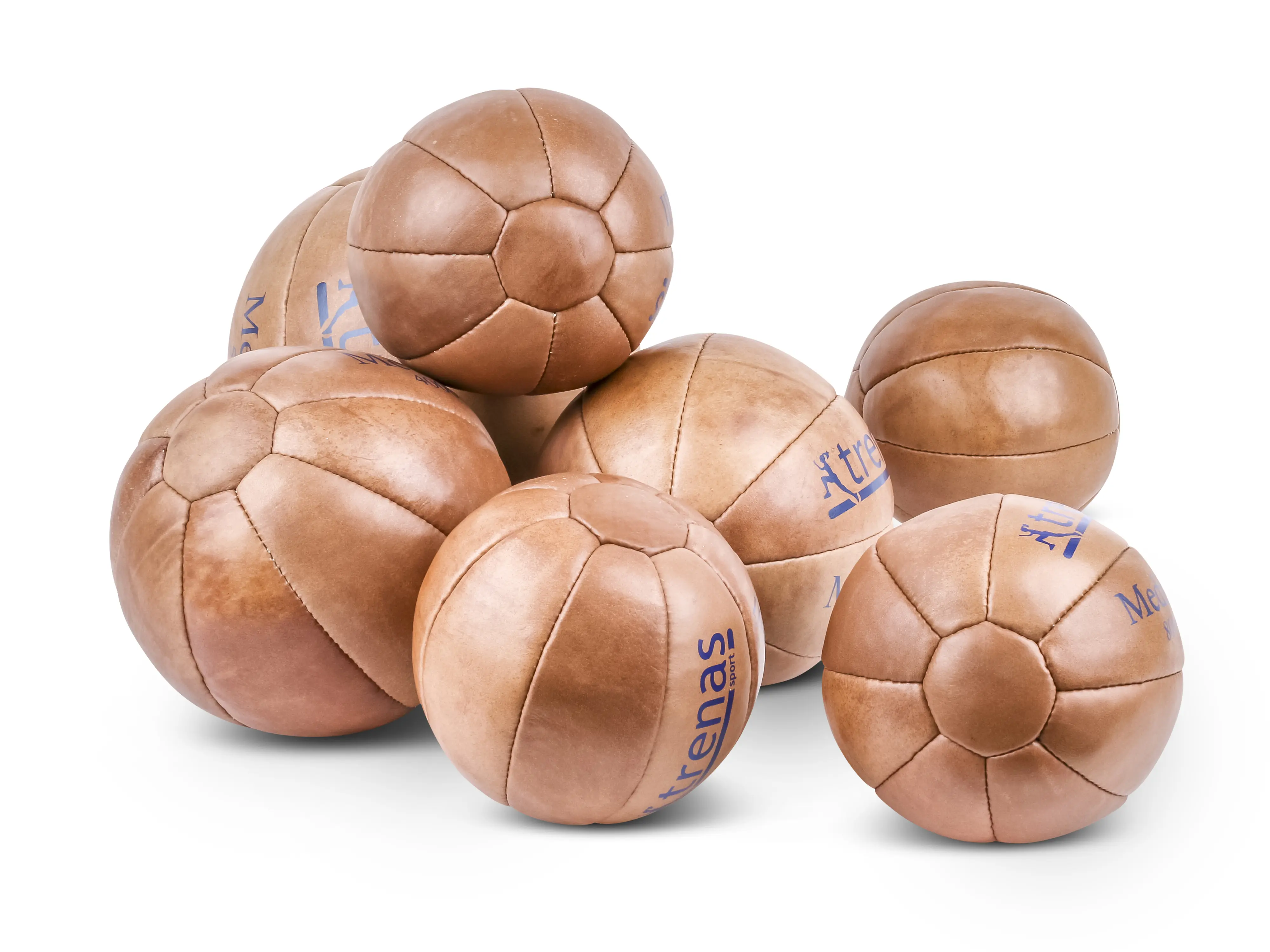 trenas Leather Medicine Ball