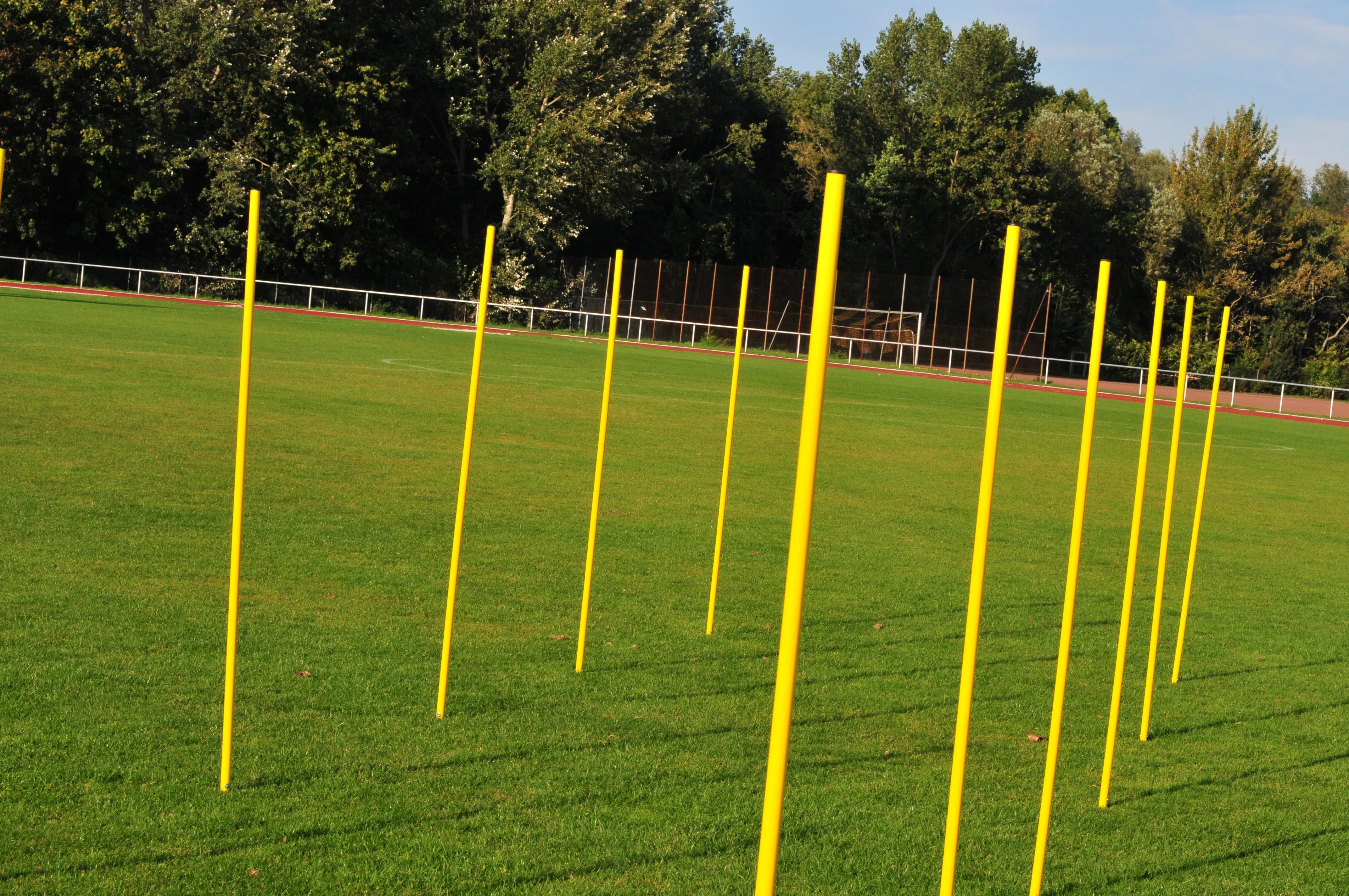Twelve Slalom Poles with Spikes in Robust Bag